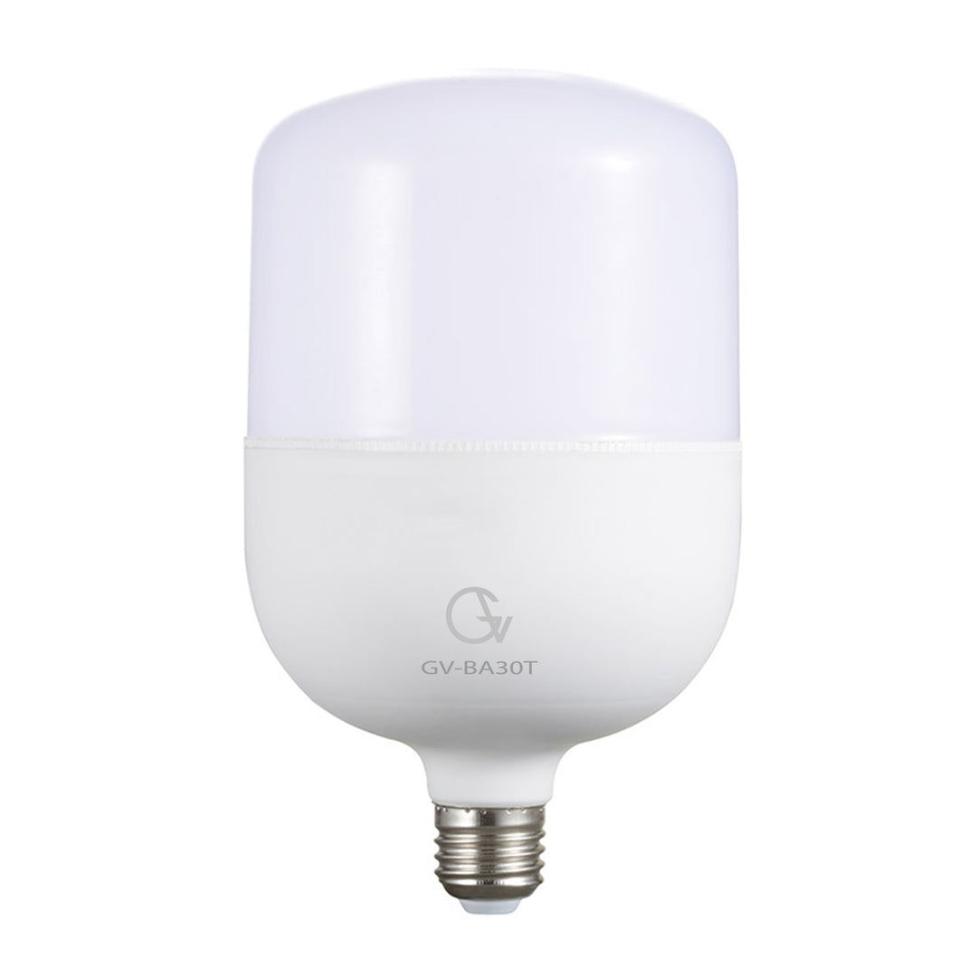 30 Watt T SERIES LED BULBS T 80 GV-BAH30T
